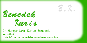 benedek kuris business card